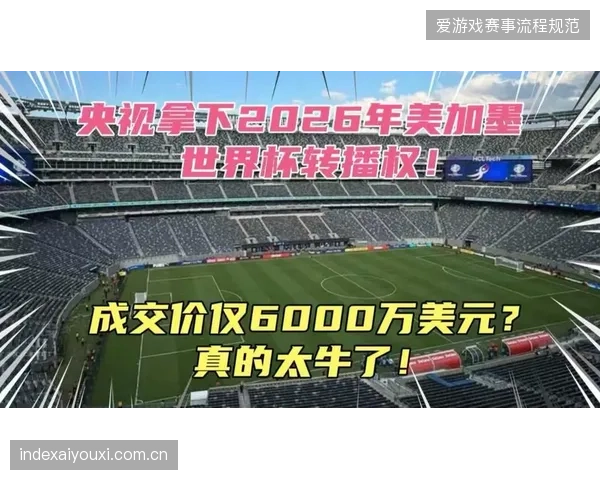近八成世界杯持权转播商未能将数字身份识别与实体入场票务进行技术并轨 近八成世界杯持权转播商未能将数字身份识别与实体入场票务进行技术并轨